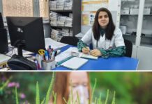 Alergia la ambrozie și infecțiile respiratorii virale. Cum pot fi diferențiate