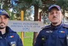 ANDREI ȘI MIHAI, POLIȚIȘTII CARE AU SALVAT O VIAȚĂ DIN APELE RÂULUI JIU